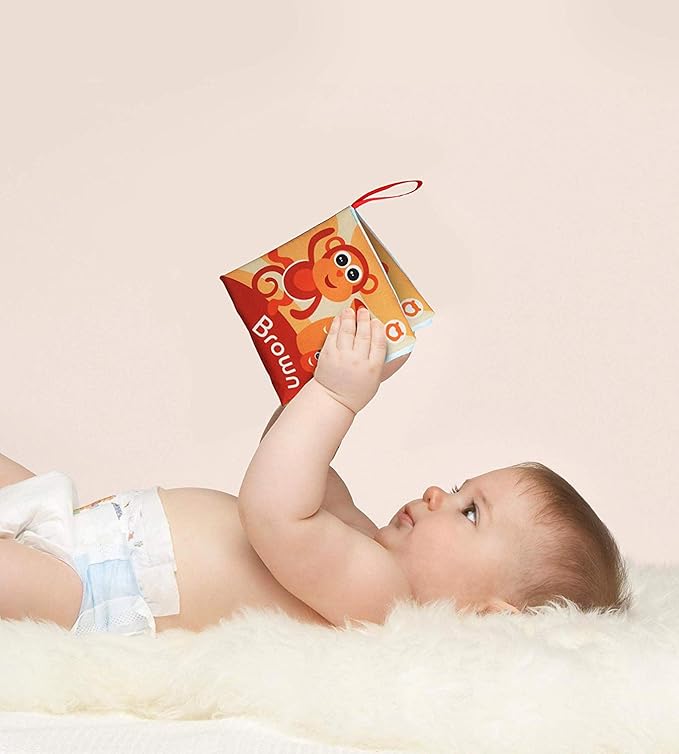 BabyBibi Cloth Books for Babies (Set of 9) - Color Recognition Series. Soft Books for Babies. Touch and Feel Crinkle Paper. Baby Learning Toys/Educational Toys for 3 Months to 4 Years Old