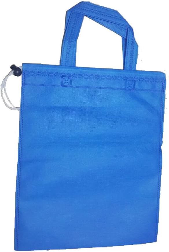 Wooden Dominos Blocks Set, Kids Game Educational Play Toy, Domino Racing Toy Game (240PCS)