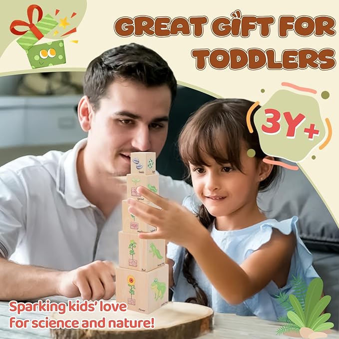 Wooden Life Cycle Nesting Blocks, Sorting & Stacking Montessori Toys for Kids, Preschool Educational Learning Cube Boxes for Toddlers 3+, Science Toy Set for Baby Boys & Girls (5 Pcs)