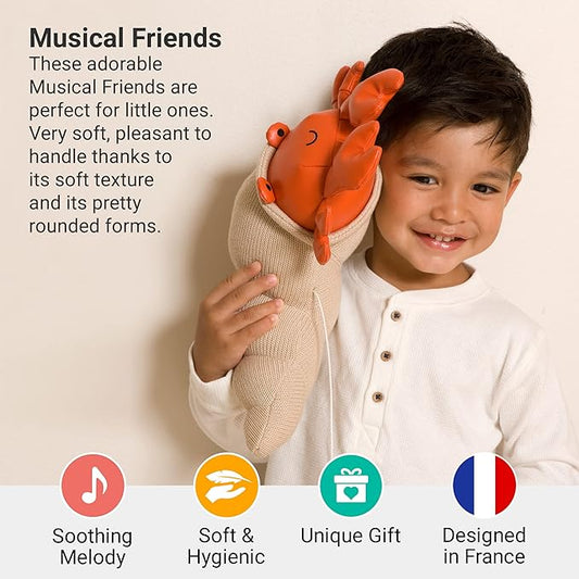 Little Big Friends Musical Baby Toy – Soft Plush Pull-String Cord Classical Toy for Baby & Toddlers | Soothing Stuffed Cuddly Animal Gift | Brigitte The Hermit Crab
