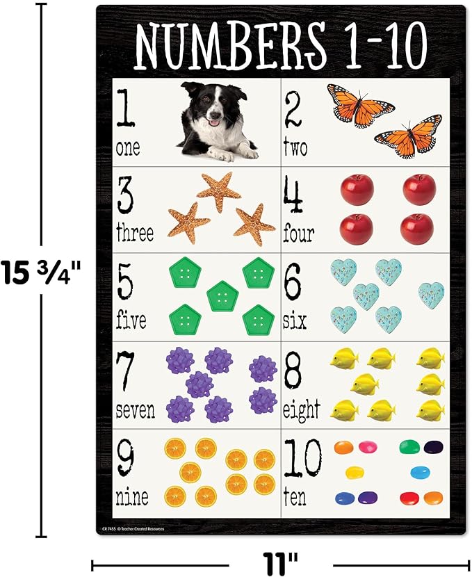 Teacher Created Resources Modern Farmhouse Early Learning Small Poster Pack (TCR7455), 11.00" x 15.75"