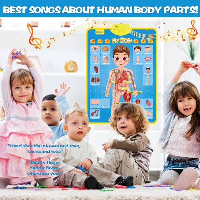 My Body Interactive Educational Poster for Toddlers and Kids to Learn Body Parts, Organs, Muscles and Bones, 16'' x 22''