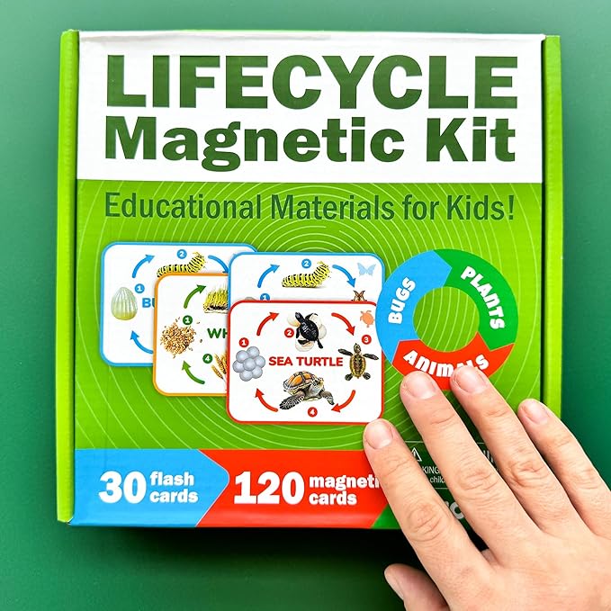 QUOKKA Life Cycle Kit Toy Montessori - 30 Flash Cards Toddler Science Activities for Kids Ages 2-4 - Prek Animal Learning Materials 3-5 - 120 Magnetic Toddler Classroom Must Haves for Preschool