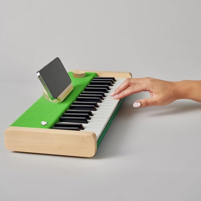 Loog Digital Piano - Portable Keyboard for Beginners with Musician Grade Sound, MIDI Over USB-C Rechargeable Musical Educational Instrument (Loog x Duolingo piano)