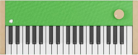 Loog Digital Piano - Portable Keyboard for Beginners with Musician Grade Sound, MIDI Over USB-C Rechargeable Musical Educational Instrument (Loog x Duolingo piano)