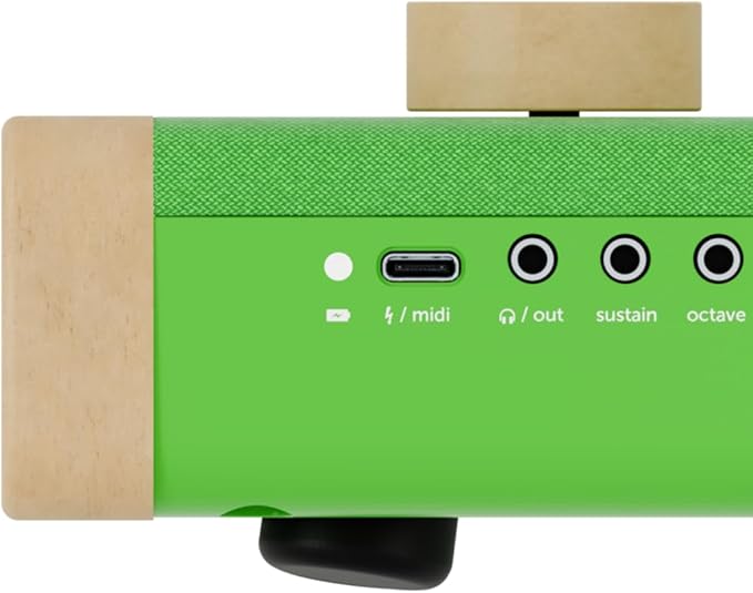 Loog Digital Piano - Portable Keyboard for Beginners with Musician Grade Sound, MIDI Over USB-C Rechargeable Musical Educational Instrument (Loog x Duolingo piano)