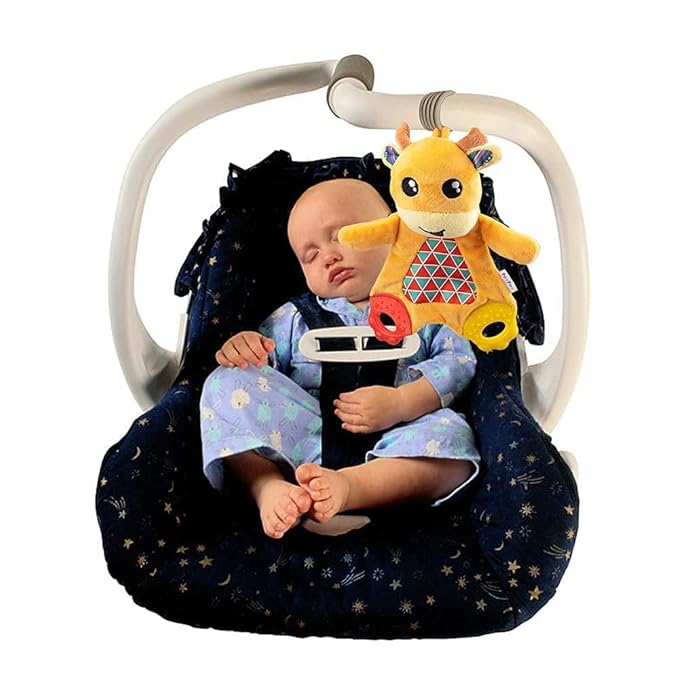 teytoy 2 Pcs Crinkle Toys for Baby with Teether, Baby Teething Sensory Toys Newborn Bib Saliva Soother Towel, Soft Snuggle Sleeping Security Blanket for Unisex Babies 0-36 Months Gifts(Owl and Deer)