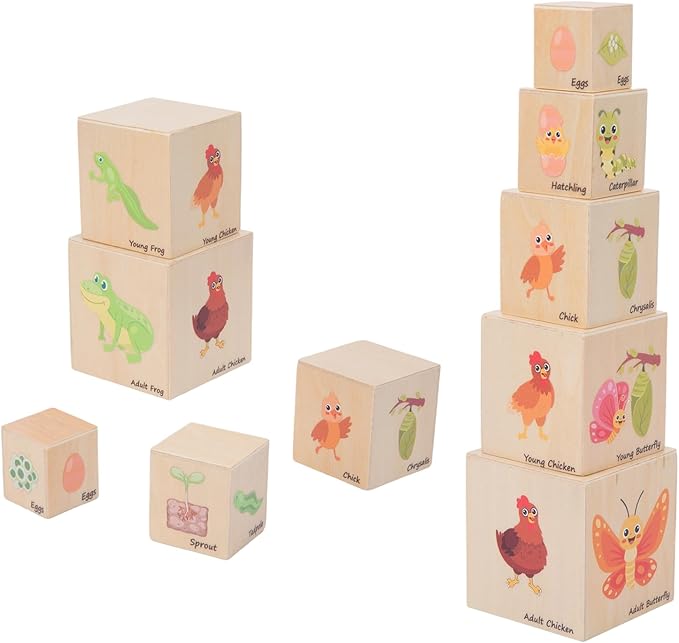 Wooden Life Cycle Nesting Blocks, Sorting & Stacking Montessori Toys for Kids, Preschool Educational Learning Cube Boxes for Toddlers 3+, Science Toy Set for Baby Boys & Girls (5 Pcs)