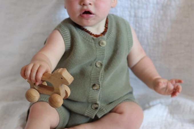 Adventure Awaits! Wooden Animal Rattle Toy Set for Toddlers & Preschoolers | Horse & Alligator Crocodile Wheeled Push and Pull Car 2 Pack