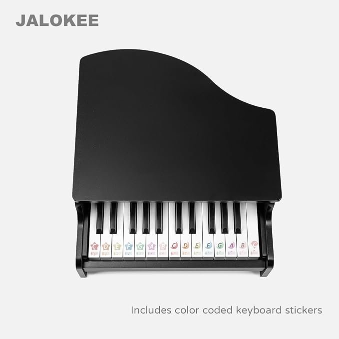 Kids Piano Keyboard, 25 Keys Grand Piano for Kids, Mini Music Educational Instrument Toy, Volume Adjustable, Wood Toy for Toddlers Girls Boys (Black)