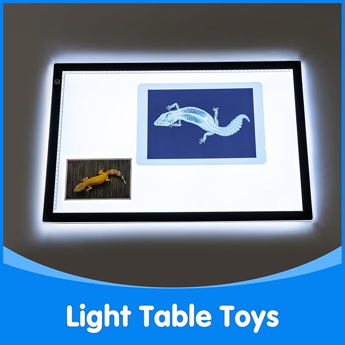 20 Pcs Animal Xrays and Picture Cards - Educational Science Kit for Kids, Explore The Fascinating World of Animal Skeletons