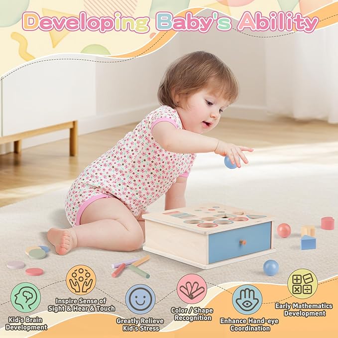 Montessori Toys for 2 3 4 5 Color Sorting - Wooden Object Permanence Box with Drawer Sensory Toys Shape Sorter Education for Baby Toddler Boy Girl Drop Busy Box 4 in 1