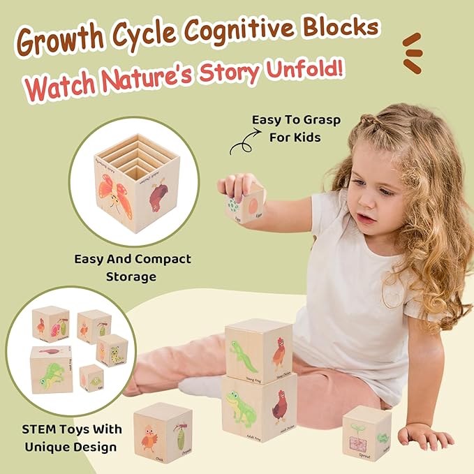Wooden Life Cycle Nesting Blocks, Sorting & Stacking Montessori Toys for Kids, Preschool Educational Learning Cube Boxes for Toddlers 3+, Science Toy Set for Baby Boys & Girls (5 Pcs)