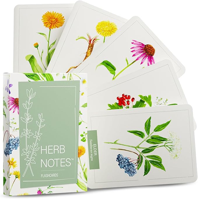 Herb Notes Flash Cards – Discover 48 Essential Herbs with Elegant Botanical Illustrations – Color Flash Cards to Learn Uses, Parts & Preparations Anytime – A Practical Guide for Beginners & Herbalists