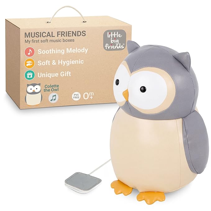 Little Big Friends Musical Baby Toy – Soft Plush Pull-String Cord Classical Toy for Baby & Toddlers | Soothing Stuffed Cuddly Animal Gift | Colette The Owl