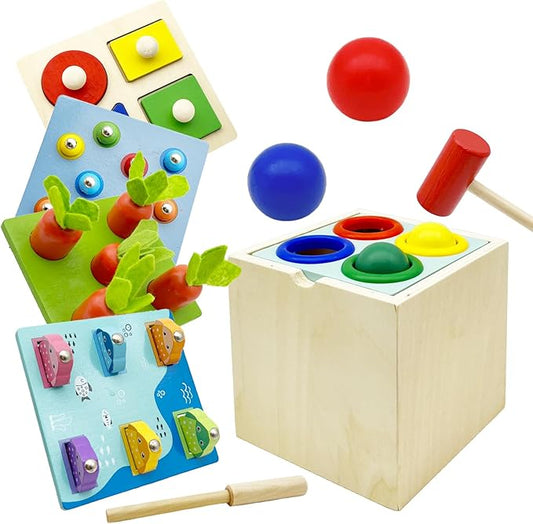 Wooden Montessori Toys for Toddlers 1-3, Color & Shape Sorting Matching Games, Fine Motor Skills Sensory Preschool Learning Educational Toys Baby Boys Girls Gifts (5 in 1)