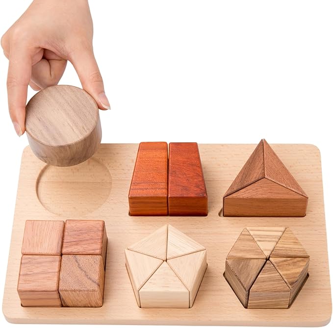 Montessori Wooden Fraction Puzzle Toy, Educational Math Manipulatives for 3+ Years Old, Geometric Shape Matching Game―Various Quality Wood Material Blocks, Classroom Learning Materials