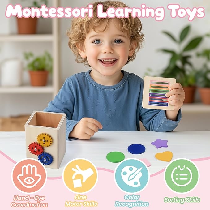 Shape & Color Sorting Montessori Toys for Toddlers 1-3, Wooden Sensory Toys, Preschool Learning Activities Matching Game, Educational Toy for Fine Motor Skills, Travel Gift for Boys Girls