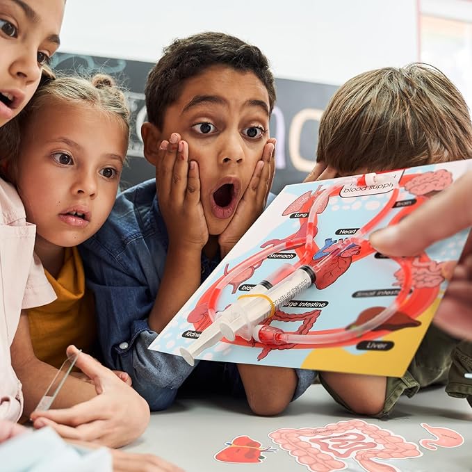 Human Body Activities & Experiments Science Kit for Kids,Human Anatomy Body Parts with Broken Bones X Ray,Lung Breathing Model, Vessels, Digestive System,Muscles Model,Skeleton,Human Organ STEM 5+