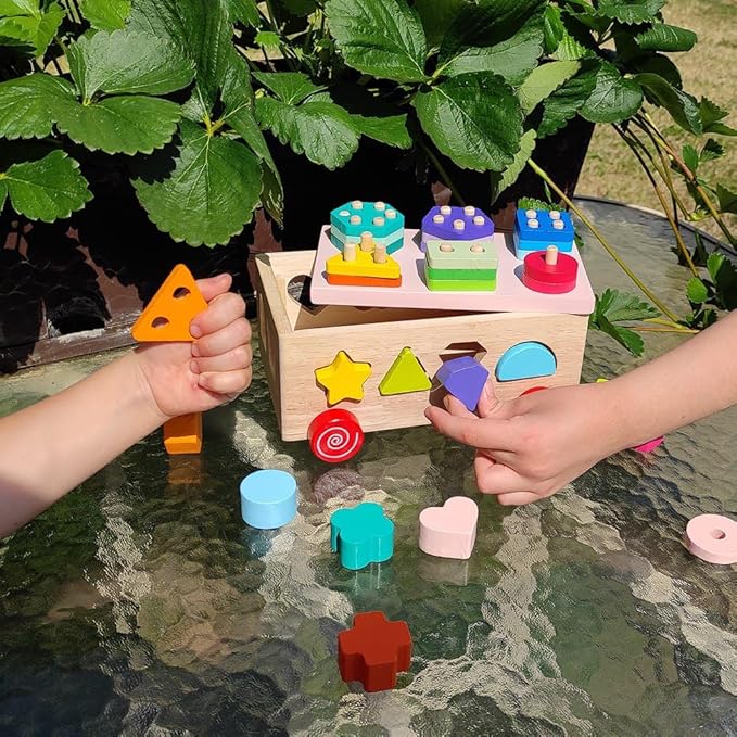Montessori Wooden Shape Sorter Toy - Shape Stacking Blocks for Toddlers 1-3, Sensory Toys with 6 Pieces