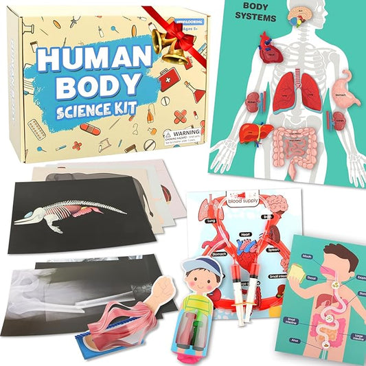 Human Body Activities & Experiments Science Kit for Kids,Human Anatomy Body Parts with Broken Bones X Ray,Lung Breathing Model, Vessels, Digestive System,Muscles Model,Skeleton,Human Organ STEM 5+