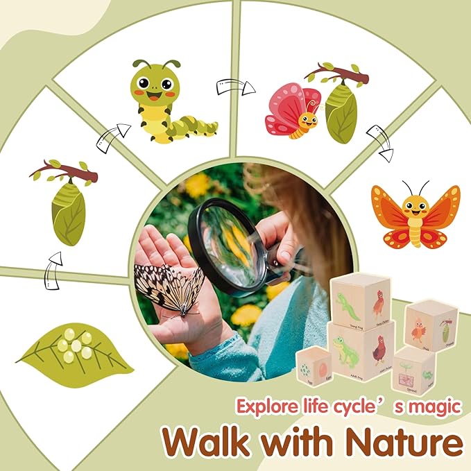 Wooden Life Cycle Nesting Blocks, Sorting & Stacking Montessori Toys for Kids, Preschool Educational Learning Cube Boxes for Toddlers 3+, Science Toy Set for Baby Boys & Girls (5 Pcs)