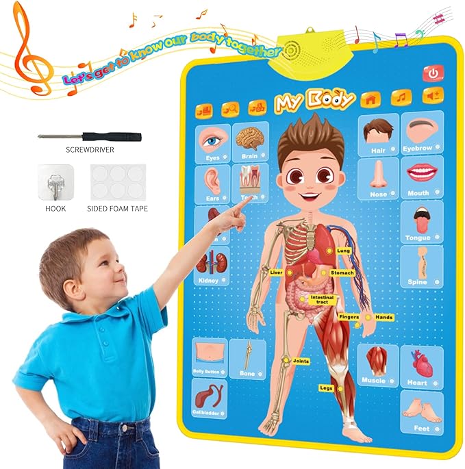 My Body Interactive Educational Poster for Toddlers and Kids to Learn Body Parts, Organs, Muscles and Bones, 16'' x 22''