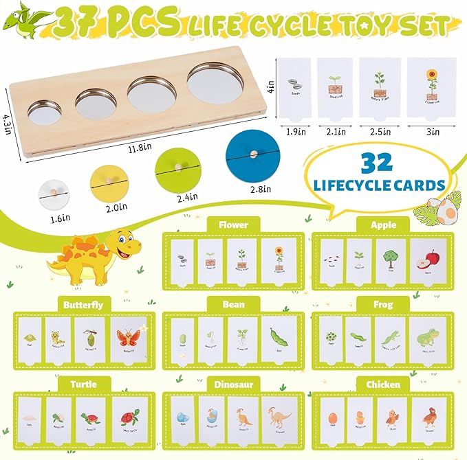 Montessori Wooden Circle Puzzle with Knob,Montessori Toys for 12-18 Months-Mirror Peekaboo Peg Board with 32 Cards for 8 Life Cycles,First Baby Puzzle for Toddlers 1-3,Wooden Preschool Learning Toys