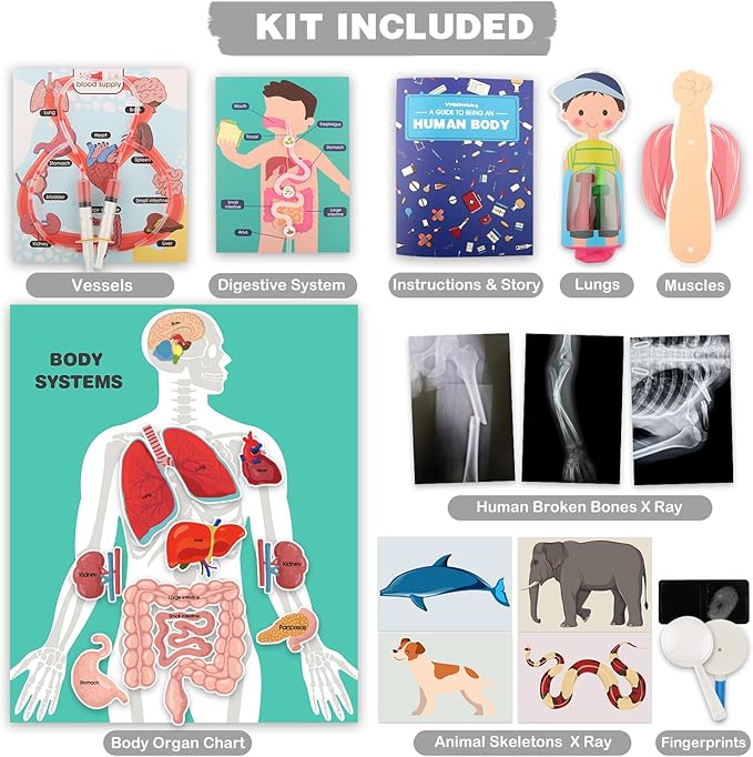 Human Body Activities & Experiments Science Kit for Kids,Human Anatomy Body Parts with Broken Bones X Ray,Lung Breathing Model, Vessels, Digestive System,Muscles Model,Skeleton,Human Organ STEM 5+