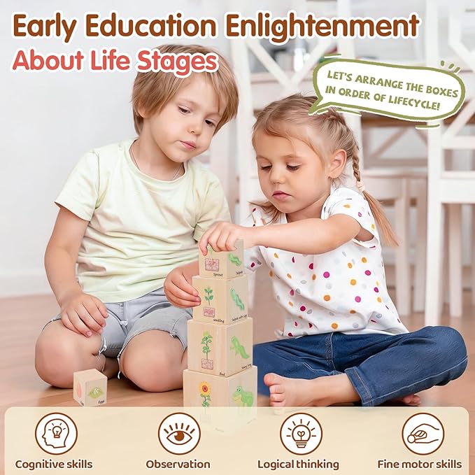 Wooden Life Cycle Nesting Blocks, Sorting & Stacking Montessori Toys for Kids, Preschool Educational Learning Cube Boxes for Toddlers 3+, Science Toy Set for Baby Boys & Girls (5 Pcs)