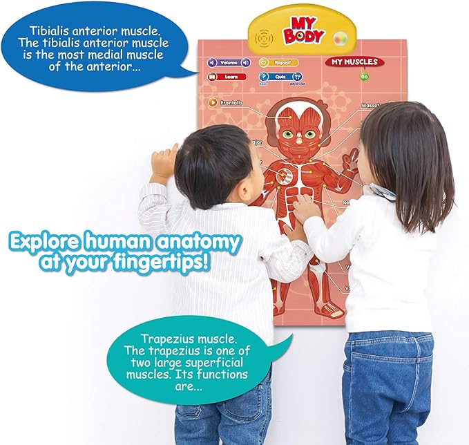 BEST LEARNING i-Poster My Body – Interactive Educational Human Anatomy Talking Toy for Kids Ages 5-12 to Learn Body Parts, Organs, Muscles and Bones Through Fun Sound and Quiz Modes