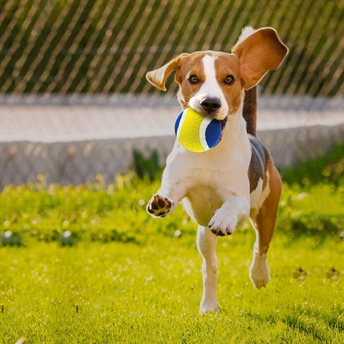 EVERICH TOY Upgraded Toss and Catch Ball Game Set - Indoor and Outdoor Games for Kids 3-12, Beach Sand Pool Water Toy Includes 2 Paddles 2 Sticky Balls, Great Birthday Gifts for Boys Girls