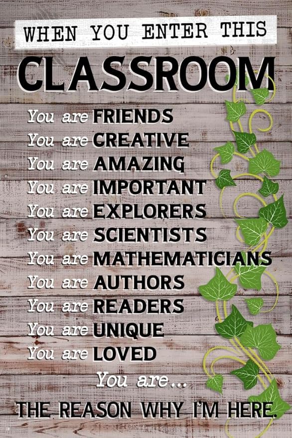 When You Enter This Classroom Educational Rules School Farmhouse Classroom Decor Cool Wall Art Print Poster 16x24