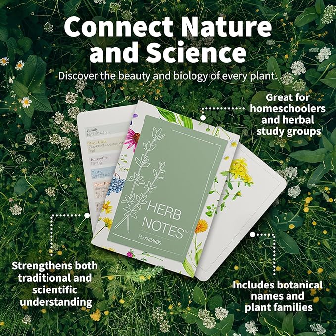 Herb Notes Flash Cards – Discover 48 Essential Herbs with Elegant Botanical Illustrations – Color Flash Cards to Learn Uses, Parts & Preparations Anytime – A Practical Guide for Beginners & Herbalists