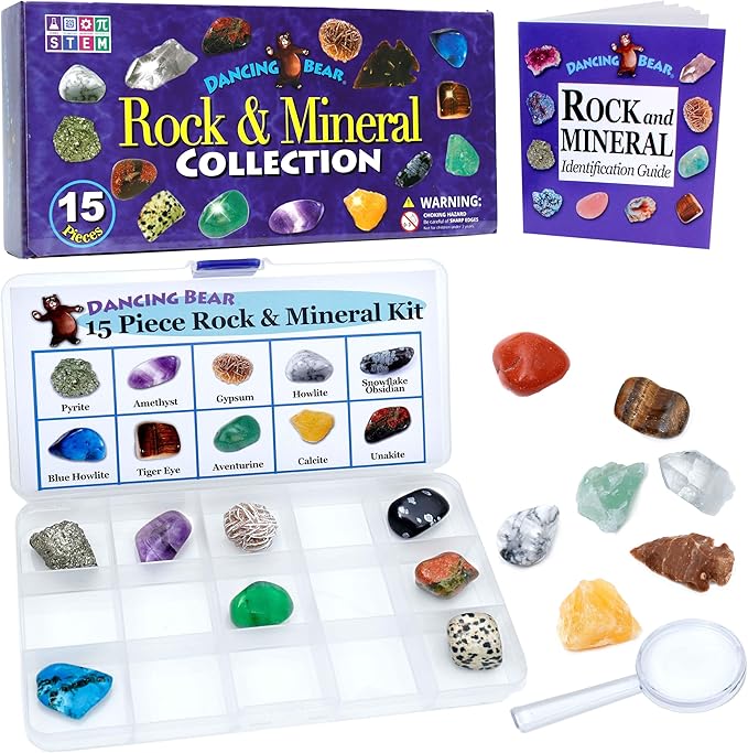 DANCING BEAR -15 Pc Rock & Mineral Collection with Collector Box/Display Case, ID Sheet, Rock Book, Magnifying Glass, Beginner Starter Set, Kids' Gemstone Crystal Kit, STEM Geology Science Education