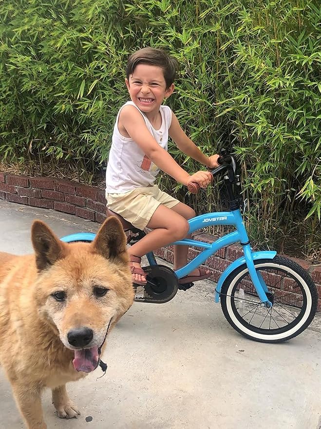 JOYSTAR 12 14 16 Inch Kids Cruiser Bike for Ages 2-7 Years Old Girls & Boys, Kids' Bike with Training Wheels, Coaster Brake, Adjustable Seat & Fenders, Child Bicycles