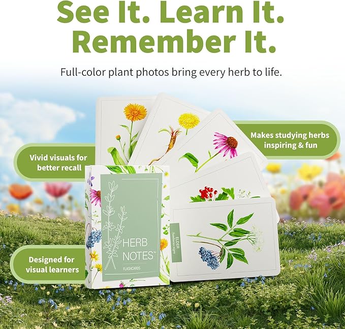Herb Notes Flash Cards – Discover 48 Essential Herbs with Elegant Botanical Illustrations – Color Flash Cards to Learn Uses, Parts & Preparations Anytime – A Practical Guide for Beginners & Herbalists