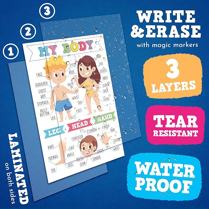 16 Pieces of Educational Posters to Improve Writing in Children, is Laminated, Set of 16 Posters in 2 Languages, Double Size English & Spanish, Works as 32 Posters