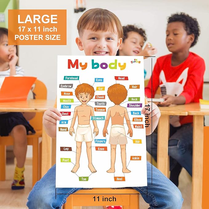 SK SUPKER 18 Toddlers Educational Learning Posters Classroom Wall Decorations Preschool Teaching for Baby Kids Teaching Numbers, ABC Alphabet Chart, Shapes, Days of The Week