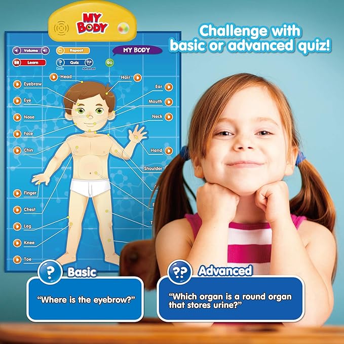 BEST LEARNING i-Poster My Body – Interactive Educational Human Anatomy Talking Toy for Kids Ages 5-12 to Learn Body Parts, Organs, Muscles and Bones Through Fun Sound and Quiz Modes