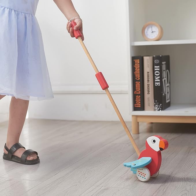 RUYU Parrot Wooden Push and Pull Walking Toy for Toddlers and Babies Girl or Boy, Classic Early Learning Wooden Balance Walking Play Toy