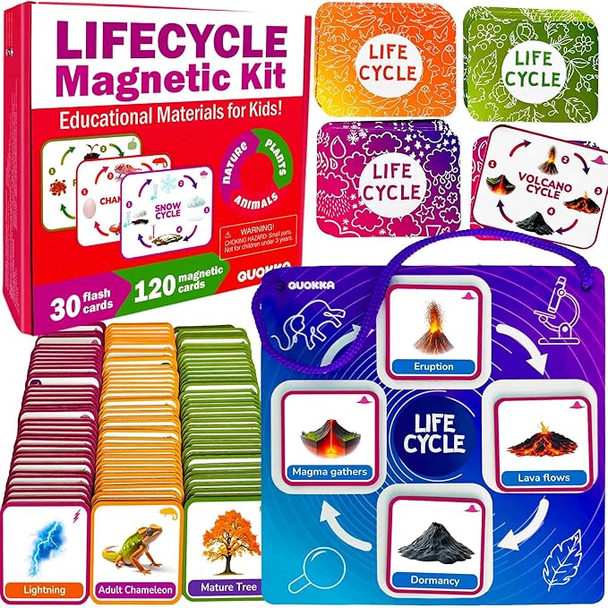 QUOKKA Life CycleToys for Kids - 30 Flashcards Toddler Science Kit Ages 2-4 - Pre-k Plant Animals Nature Learning Materials 3-5 - 120 Magnetic Flash Cards for Preschool and School (Part 2)
