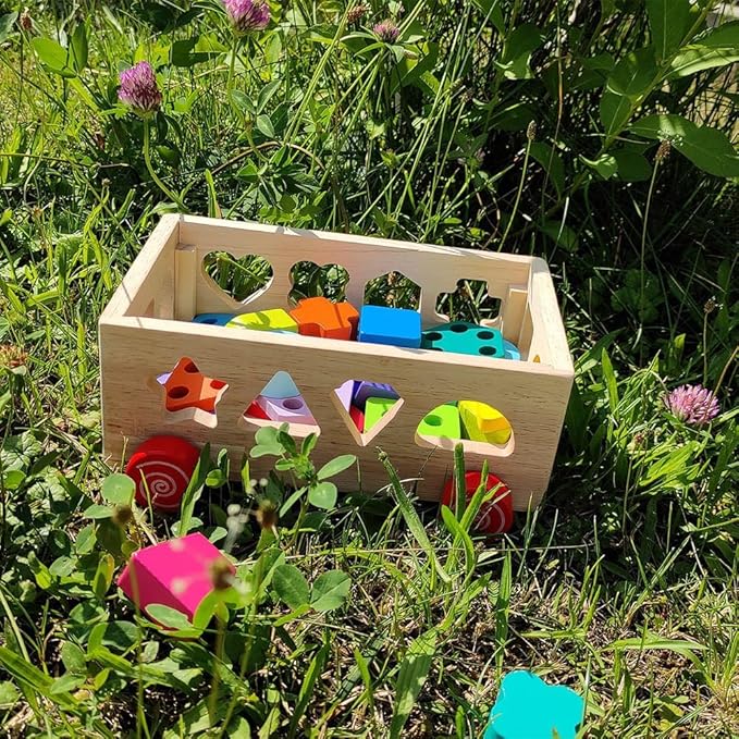 Montessori Wooden Shape Sorter Toy - Shape Stacking Blocks for Toddlers 1-3, Sensory Toys with 6 Pieces