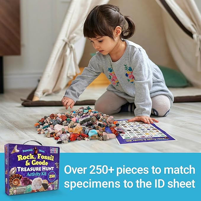 DANCING BEAR Rock, Mineral & Geodes Treasure Hunt Activity Kit (250 Pc Set) Real Shark Teeth Fossils, ID Sheet & Rock Book, STEM