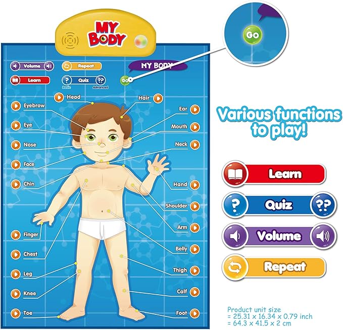 BEST LEARNING i-Poster My Body – Interactive Educational Human Anatomy Talking Toy for Kids Ages 5-12 to Learn Body Parts, Organs, Muscles and Bones Through Fun Sound and Quiz Modes