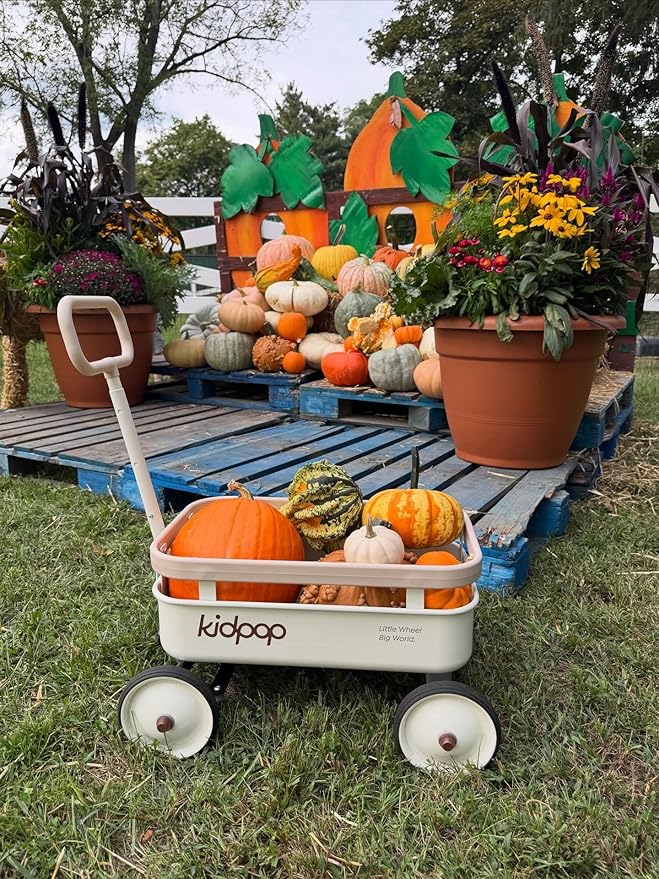 kidpop PULA-Wild 3-in-1 Kids' Pull-Along Wagon Toddlers Push Walker for 2.5-8, Removable Wooden Cover and Adjustable Handlebar, Birthday Gifts Max Weight 33 lbs (White)