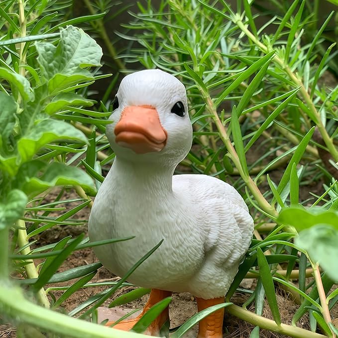 Rubber Ducks Farm Realistic Animal Figurines Duckling Little Duck Animal Figures for Children's Toys Bath Toys and for Party Favors, Gifts, Prizes, Rewards, Giveaways (White)