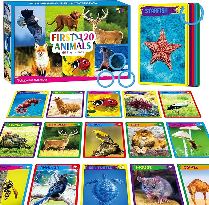 My First 120 Animals, 60PCS Realistic Zoo Animal Cards Farm/Wild/Marine Animals/Insects/Birds Flashcards Montessori & Science Educational Toys Preschool Learning for Homeschool Preschool Toddler Kids