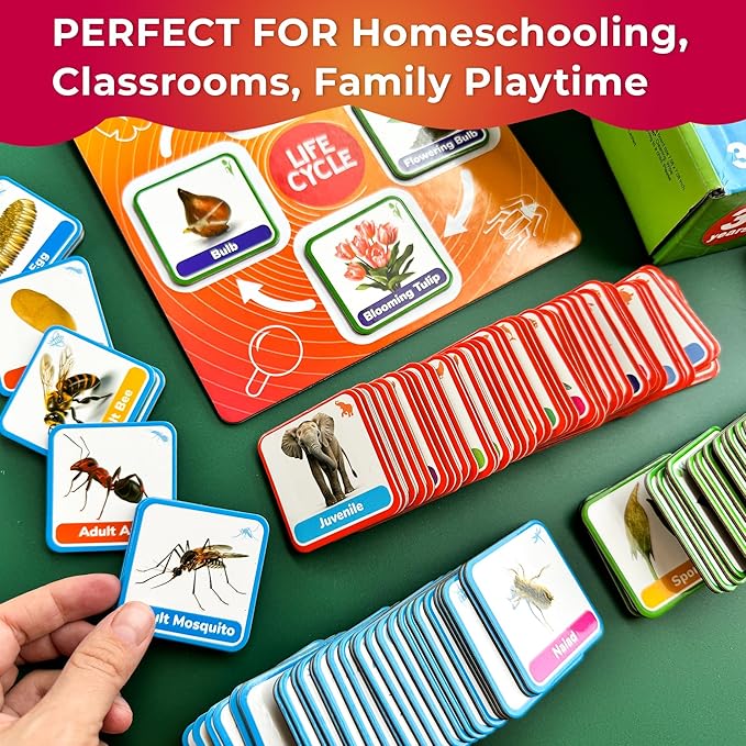 QUOKKA Life Cycle Kit Toy Montessori - 30 Flash Cards Toddler Science Activities for Kids Ages 2-4 - Prek Animal Learning Materials 3-5 - 120 Magnetic Toddler Classroom Must Haves for Preschool